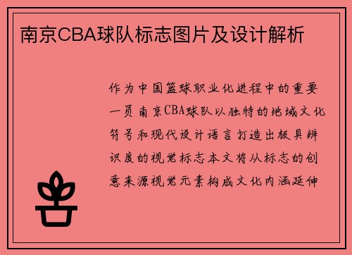 南京CBA球队标志图片及设计解析